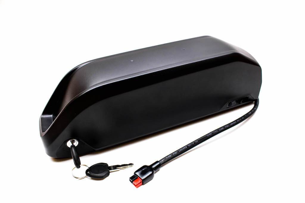 panasonic electric bicycle battery 48V 16Ah Jumbo Shark Ebike Battery (Panasonic NCR18650BD Cells)